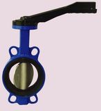 Butterfly Valve -1