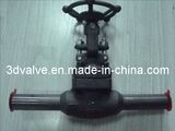 API 602 Globe Valve Add Extend Pipe