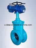 Cast Iron Electric Gate Valve