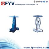 ANSI Pressure Seal Globe Valve