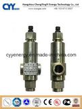 Cryogenic O2 Safety Valve