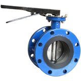 Cast Iron Flange Butterfly Valve