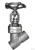 Y Type Forged Stainless Steel Globe Valve