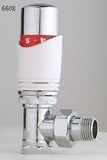 Radiator Valve (6608)