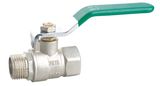 Ball Valve (TT1002)