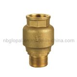 Check Valve 1 Inch