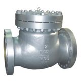 Swing Check Valve