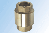 Check Valve (029)