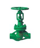 Vacuum Globe Valve