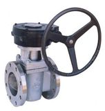 Plug Valve