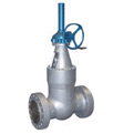 Pressure Seal Gate Valve (LIFC4002)