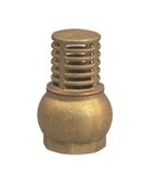 Brass Foot Valve