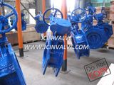 Manual Butterfly Valve with Nodular Cast Iron Pn16 (D341X)