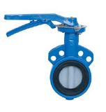 Epoxy Coating Wafer Butterfly Valve (D71X)