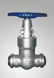 Class 900 Globe Valve