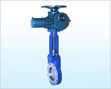 Gate Valve