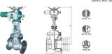 Electric Wedge Gate Valve (214)