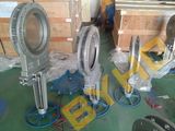 API Flanged Knife Gate Valve