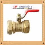 Cw617n Brass Ball Valve with FF Thread