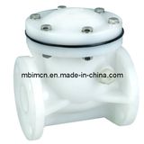 ANSI Standard Plastic Check Valve