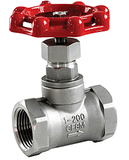 Investment Casting/Precision Casting Ss Screwed Globe Valves