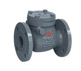 DIN Swing Check Valve