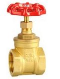 Brass Gate Valve /Control Valve