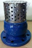 Cast Iron Foot Valve with Strainer, Flange End Manufacturer