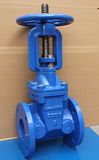 Resilient Seated Rising Stem Gate Valves Awwa C509