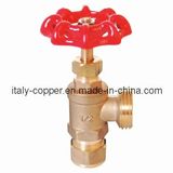 Brass Boiler Drain Valve (AV4042)