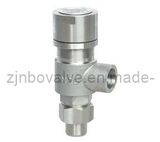 CE Water & Oil Thread Pressure Safety Valve (1