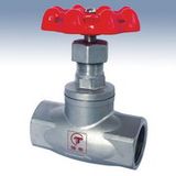 Globe Valve