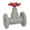 PPH Flange Globe Valve (J41X-6S)