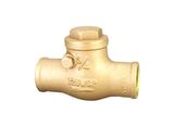 Check Valve (DC-C1113)