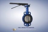 Pn16 Hand Lever Butterfly Valve (WDS02SERIES)