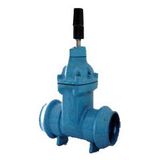 Cast Iron/Ductile Iron Socket Welded Gate Valves