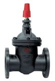 NF Gate Valve (NFSZ45)