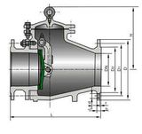 Sediment-Draining Check Valve