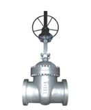 Gate Valve -01