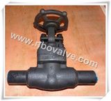 API NPT/Sw Forged Steel Gate Valve (Z41H-1/4