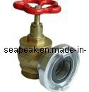 Indoor Fire Hydrant Storz Landing Valve