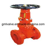 Awwa C509 Resilient Seat OS&Y Gate Valve