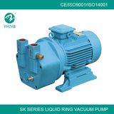 Hot Vacuum Pump (SK Series)