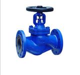 GS-C25 DIN Globe Valve