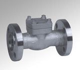 Forged Steel Flange Check Valve (DTV-H004)