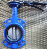 Cast Iron/Ductile Iron Pn10/Pn16 Dn80 Wafer Butterfly Valve