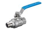 Stainless Steel Ball Valve F/M Threaded