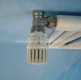 Thermostatic Valve (BYL-6607)