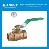 Ball Valve (A306)