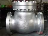 Swing Check Valve